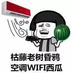 出門被曬化？七條防暑小貼士幫你安然度夏！-晟皋電氣